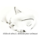 View Visite et soins à domicile pour animaux - Murielle Lamarre’s Saint-Émile profile