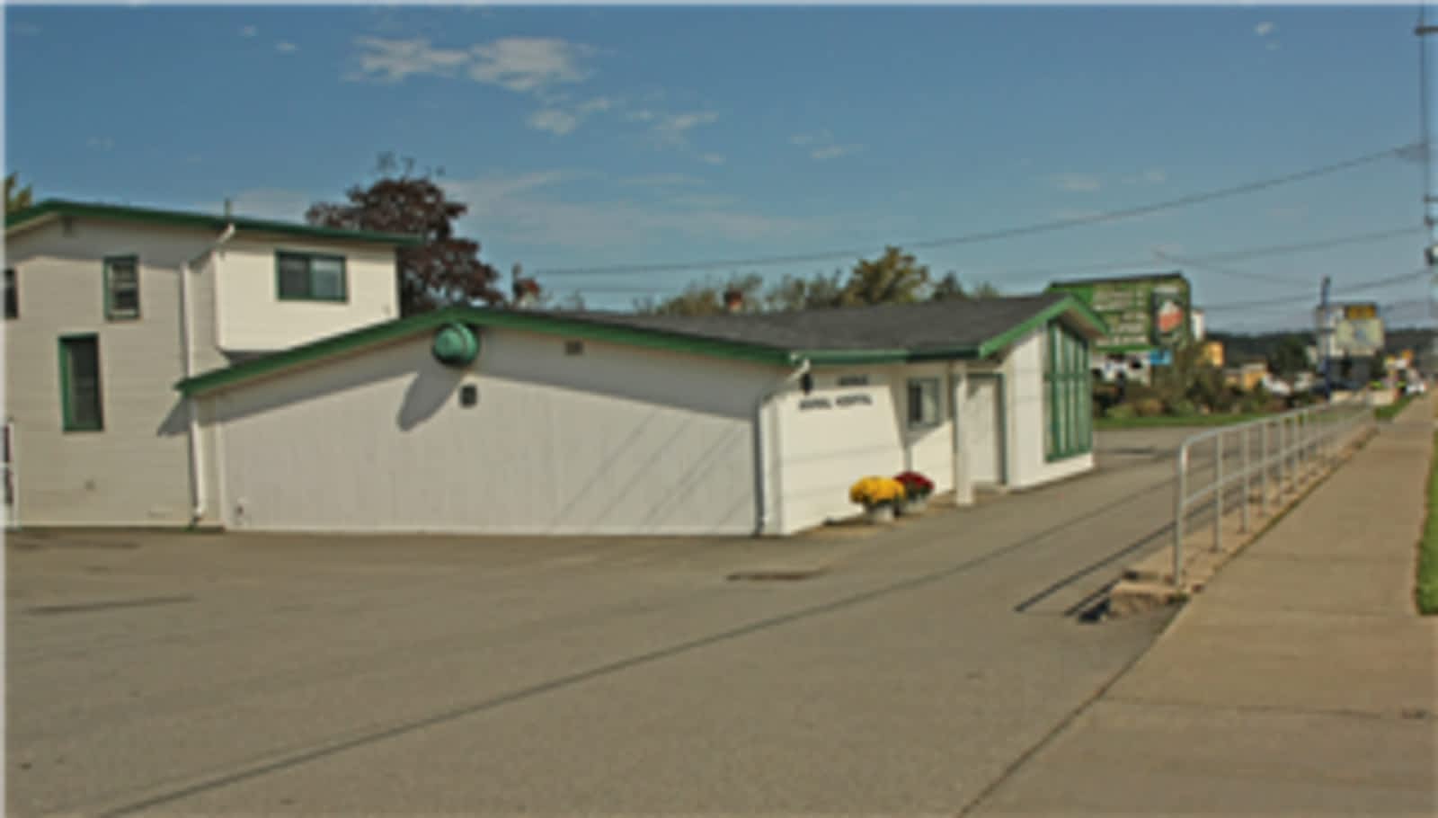 Avenue Animal Hospital Ltd - Opening Hours - 507 Rothesay Ave, Saint John,  NB