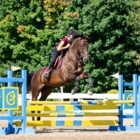 Centre Equestre Drummond - Riding Academies