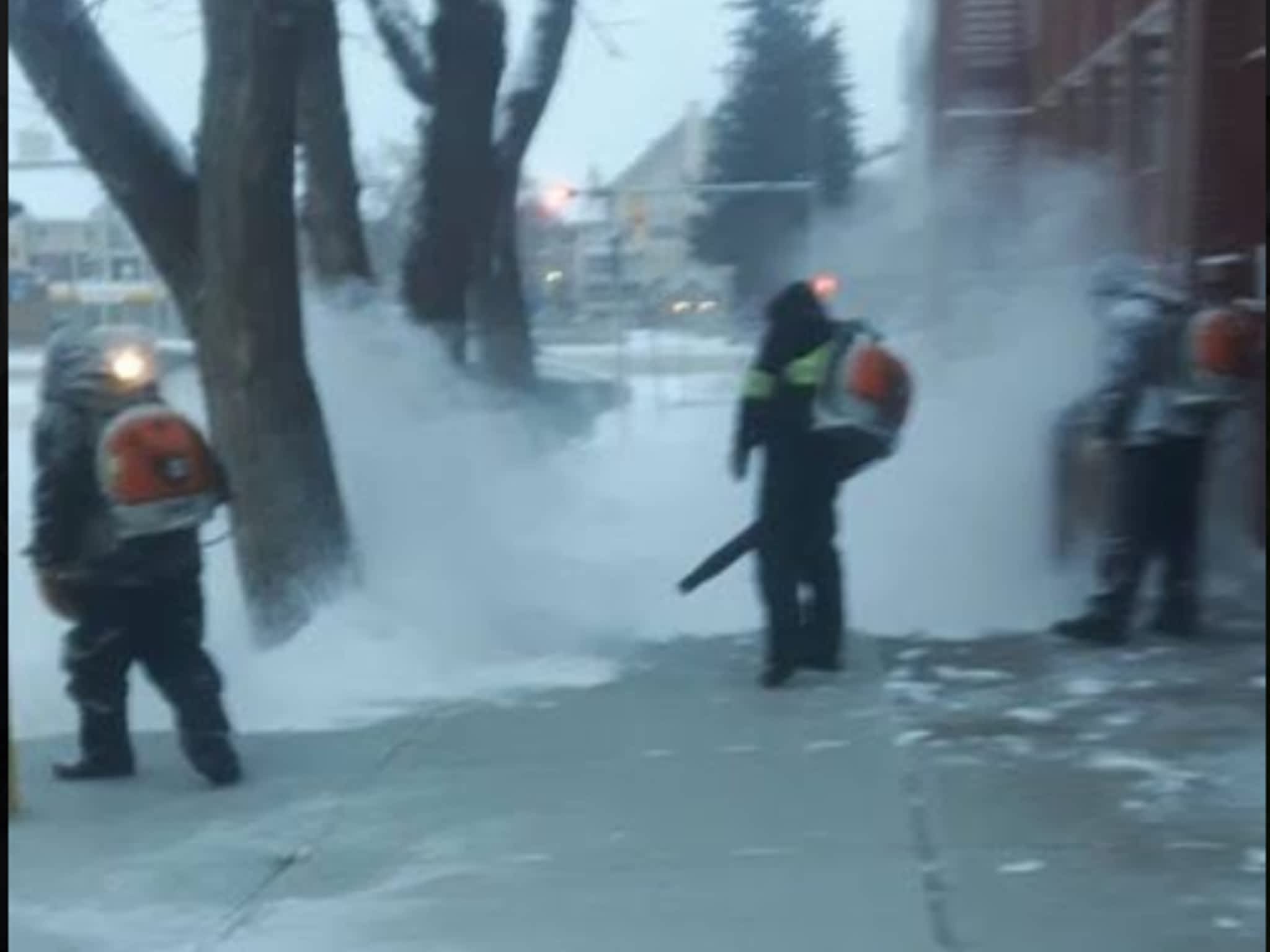 photo Wuerf's Yard Services