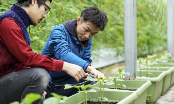 Edmonton gardening workshops to improve your knowledge