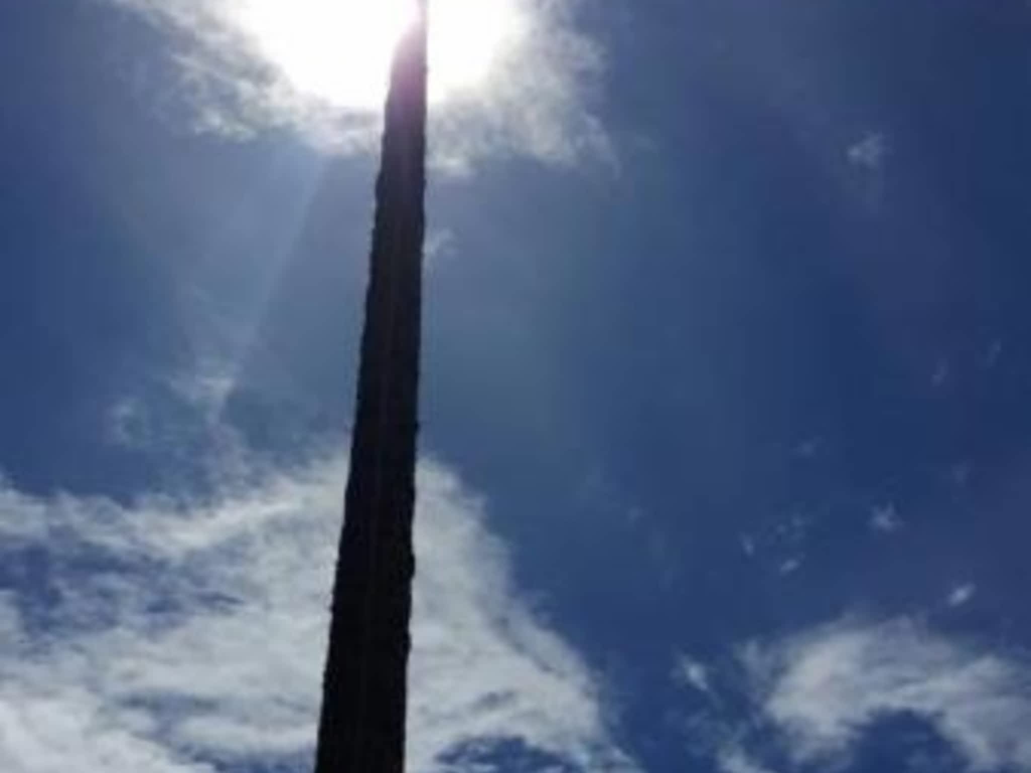 photo Windfirm Tree Services