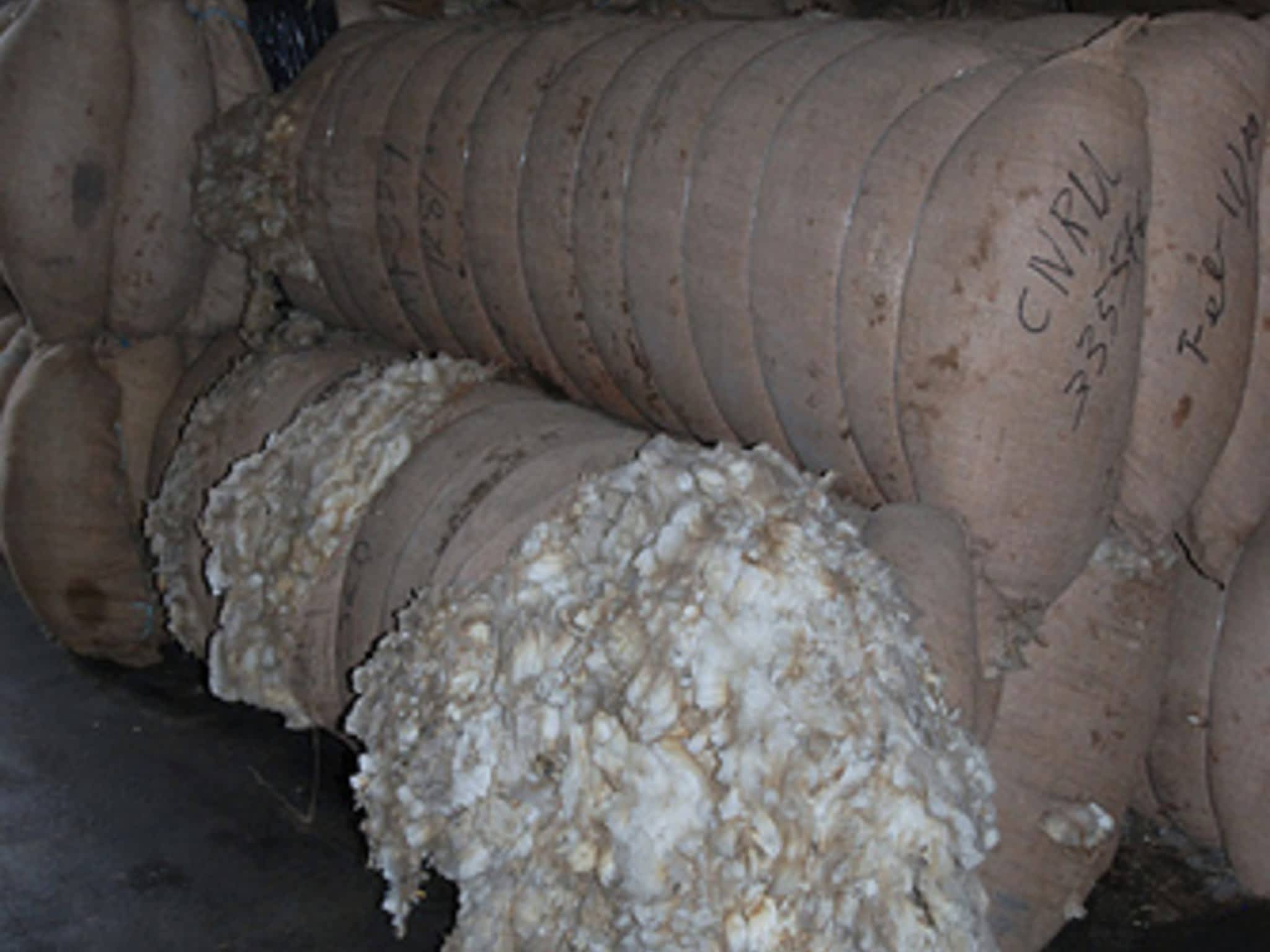 photo Canadian Co-Operative Wool Growers Limited