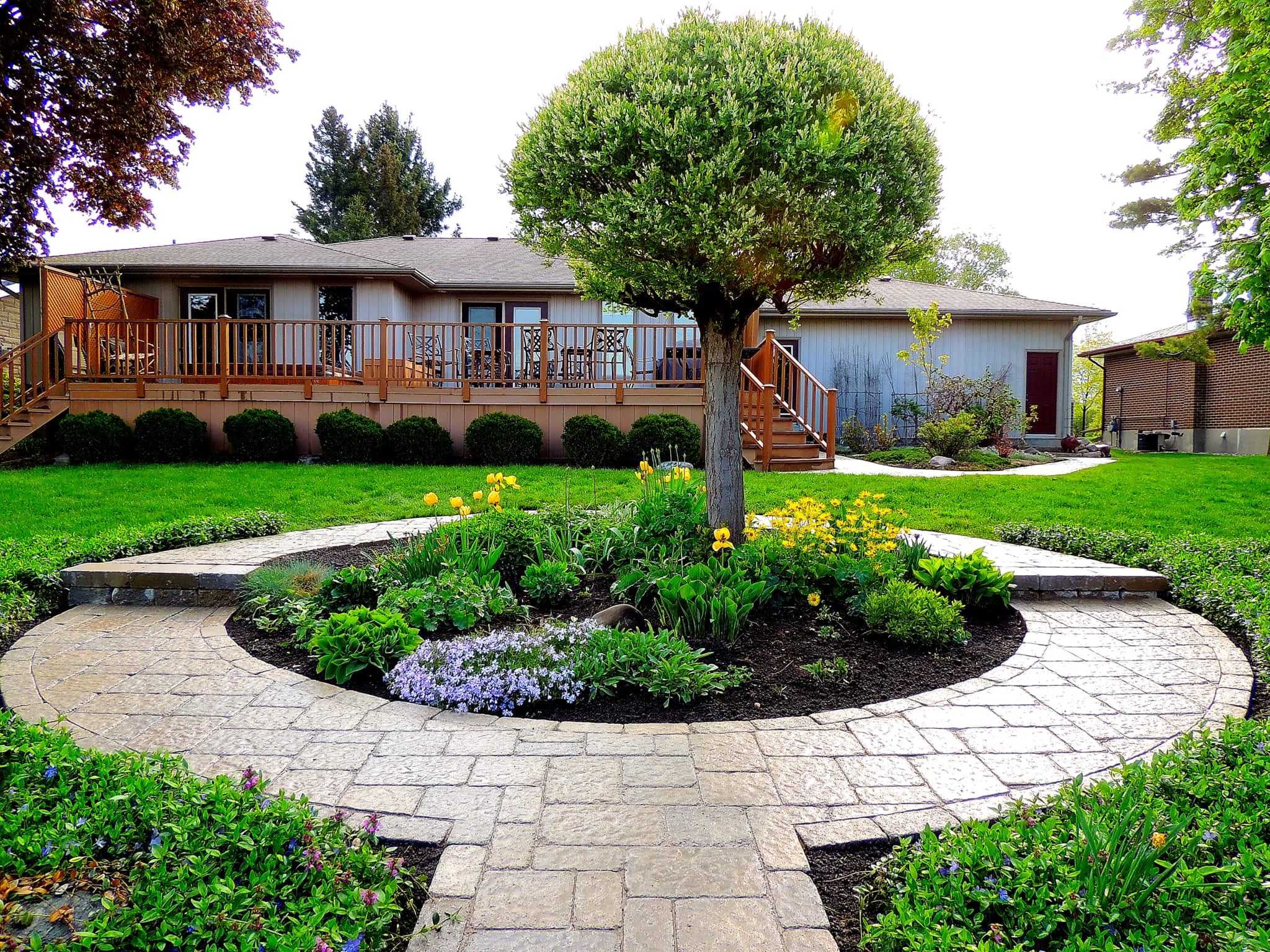 photo Dreamscape Landscaping