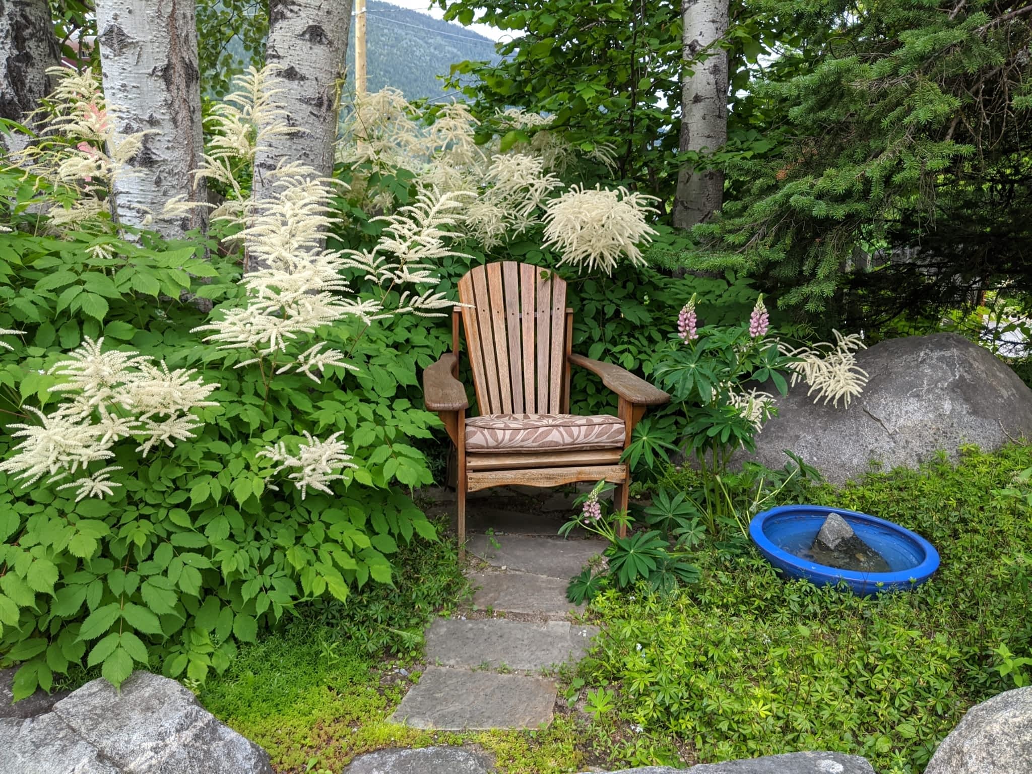 photo Bloom Garden Design