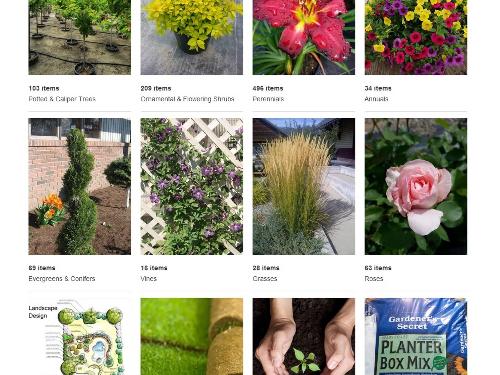 photo Calgary Plants Online Garden Center