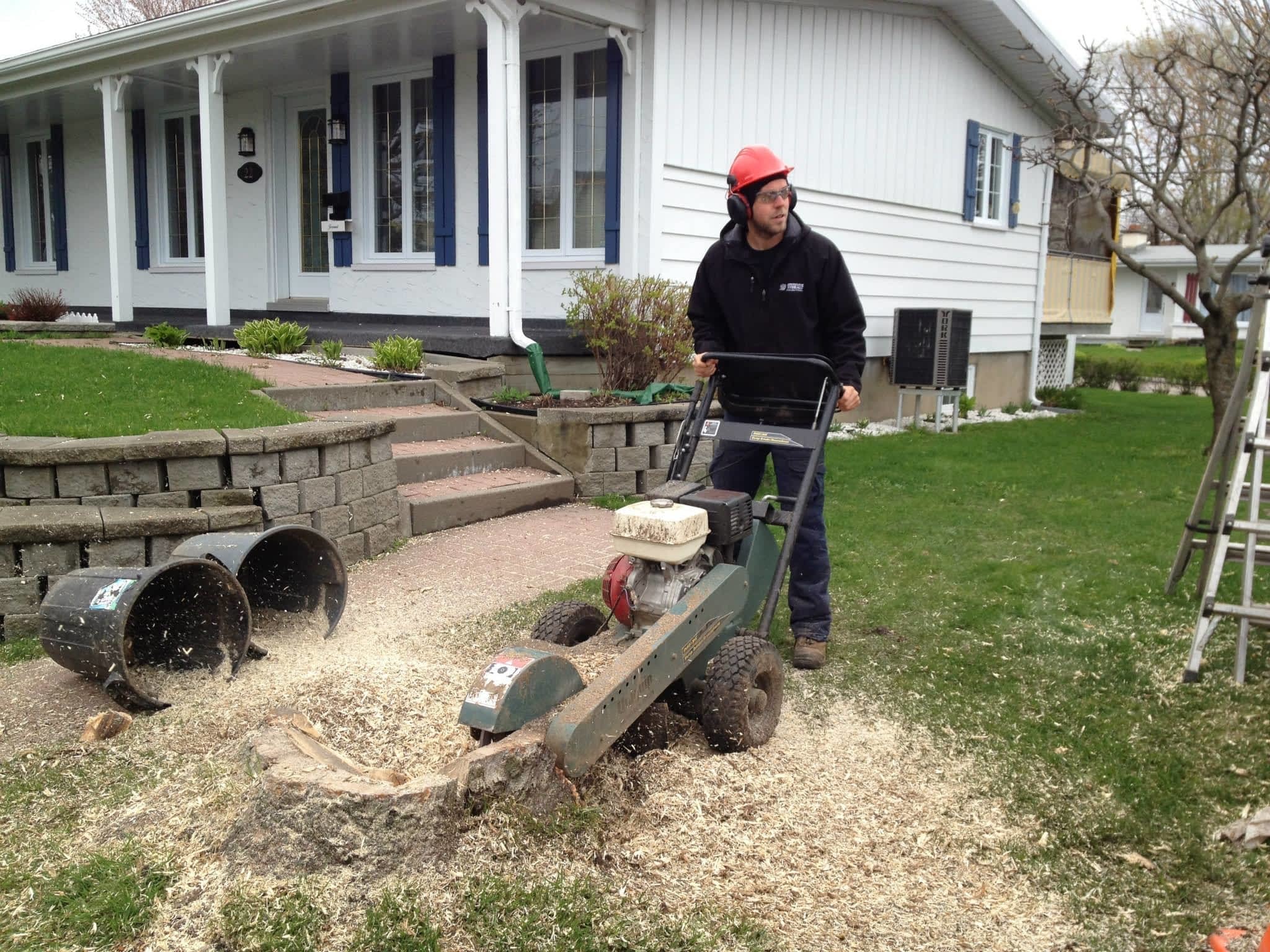 photo Arboriculture Thibault