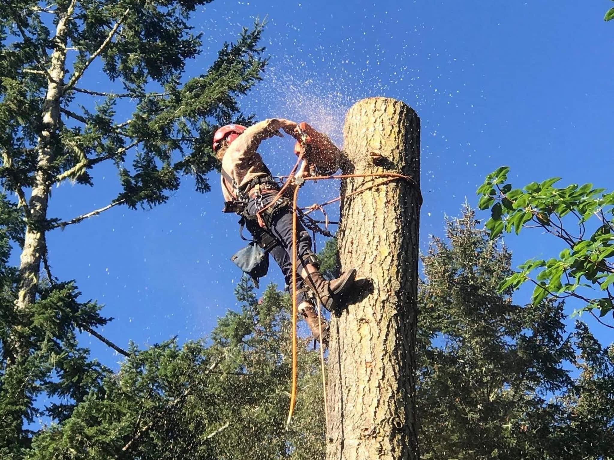 photo Valhalla Falling & Tree Services