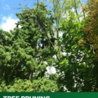 CBL Tree Service - Service d'entretien d'arbres