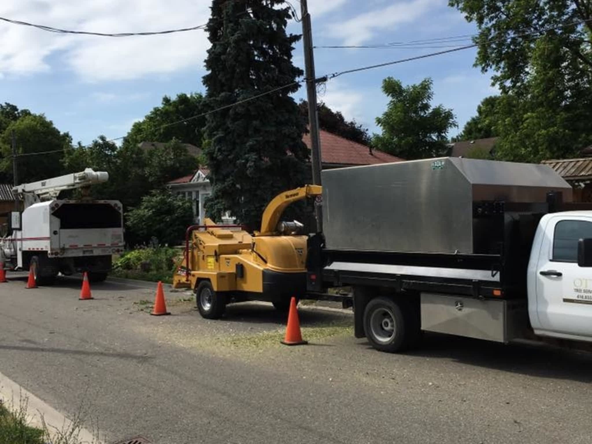 photo Ott's Tree Service