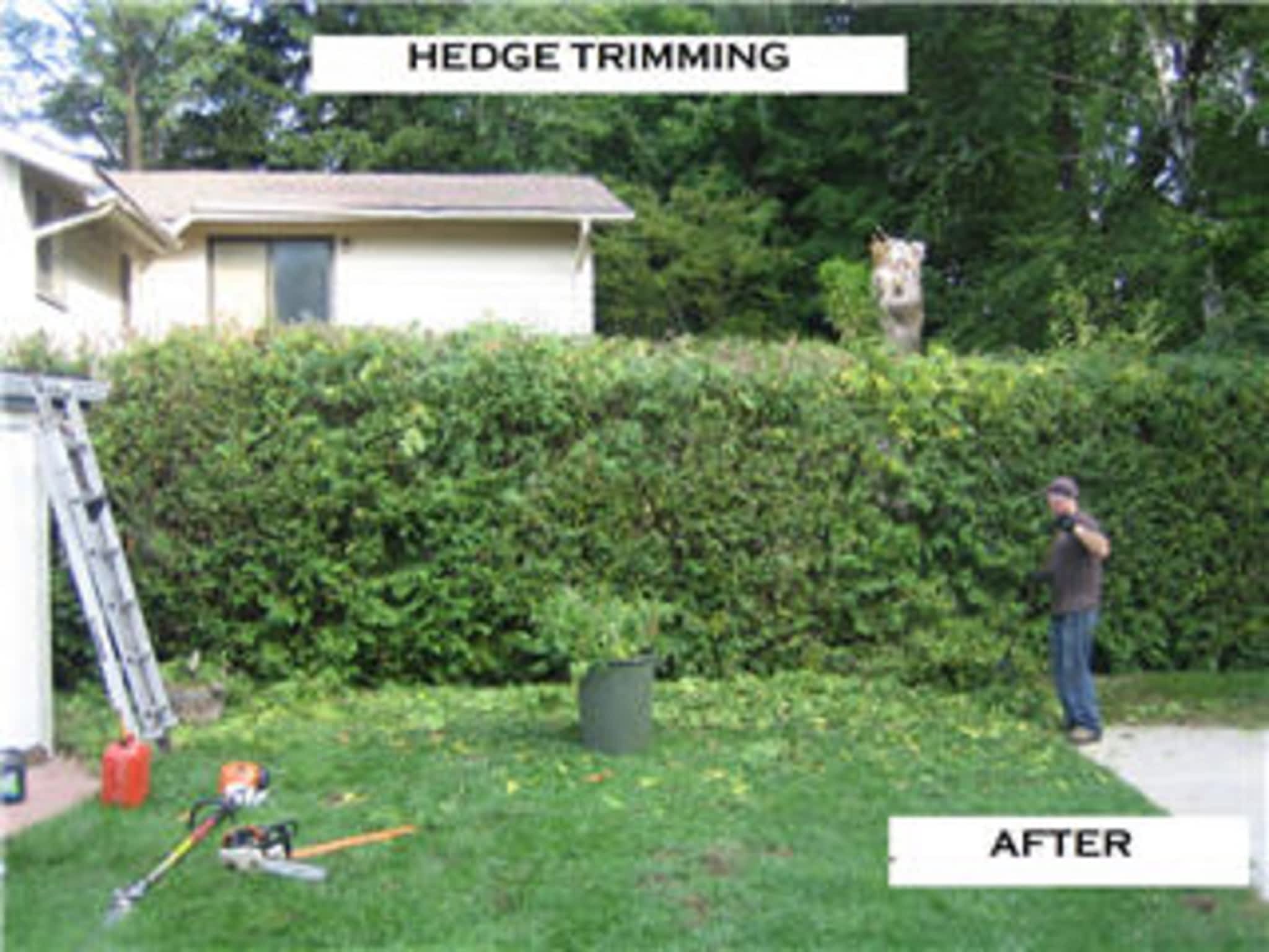 photo Nick's Home Services