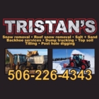 Tristan's Exavation - Logo