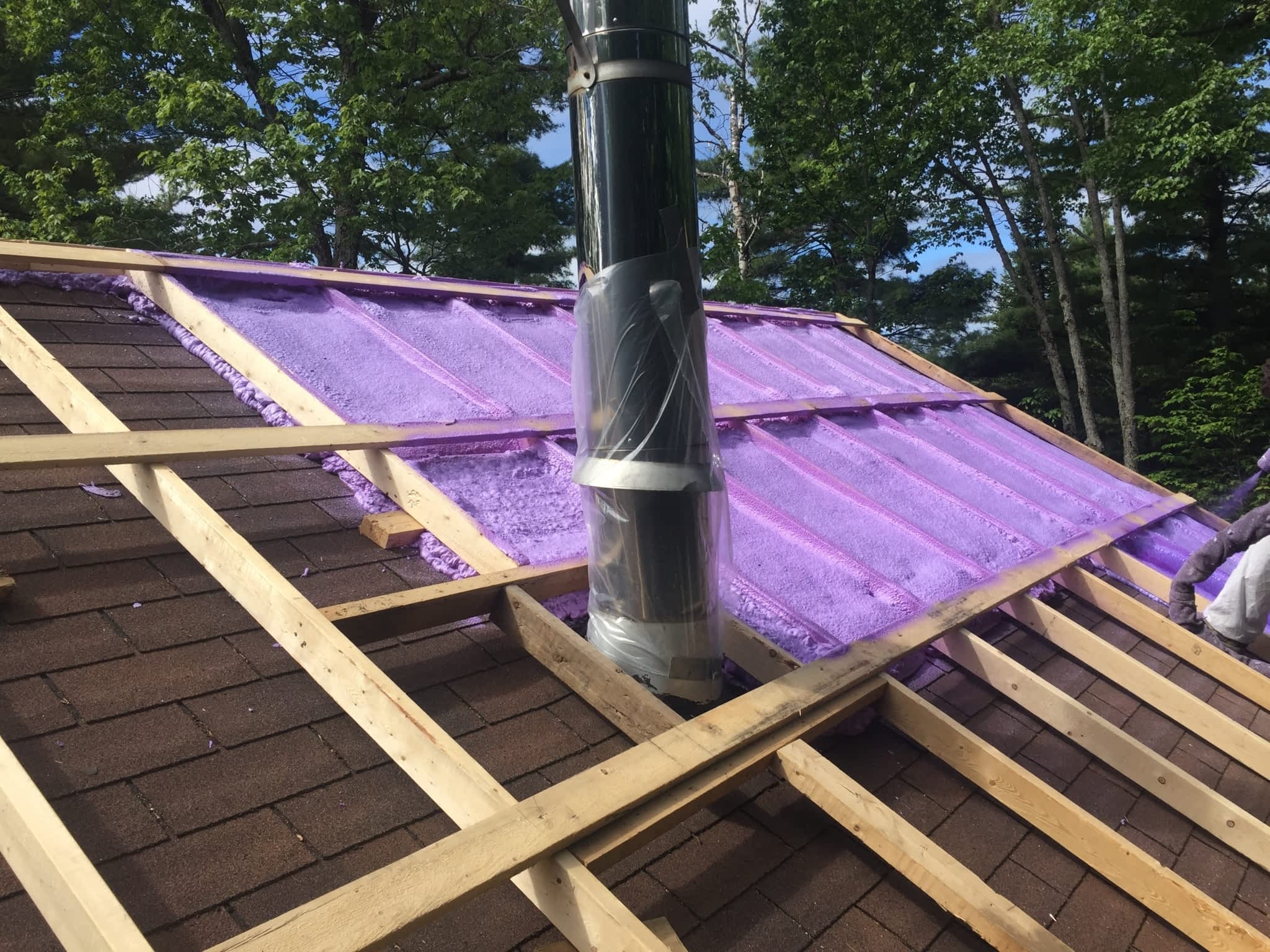 photo Isolation Dany Cartier