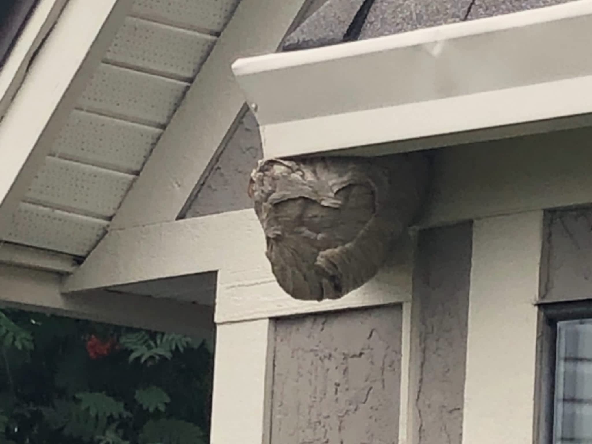 photo Phantom Pest Control Maple Ridge