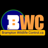 Brampton Wildlife Control Inc. - Service de capture d'animaux