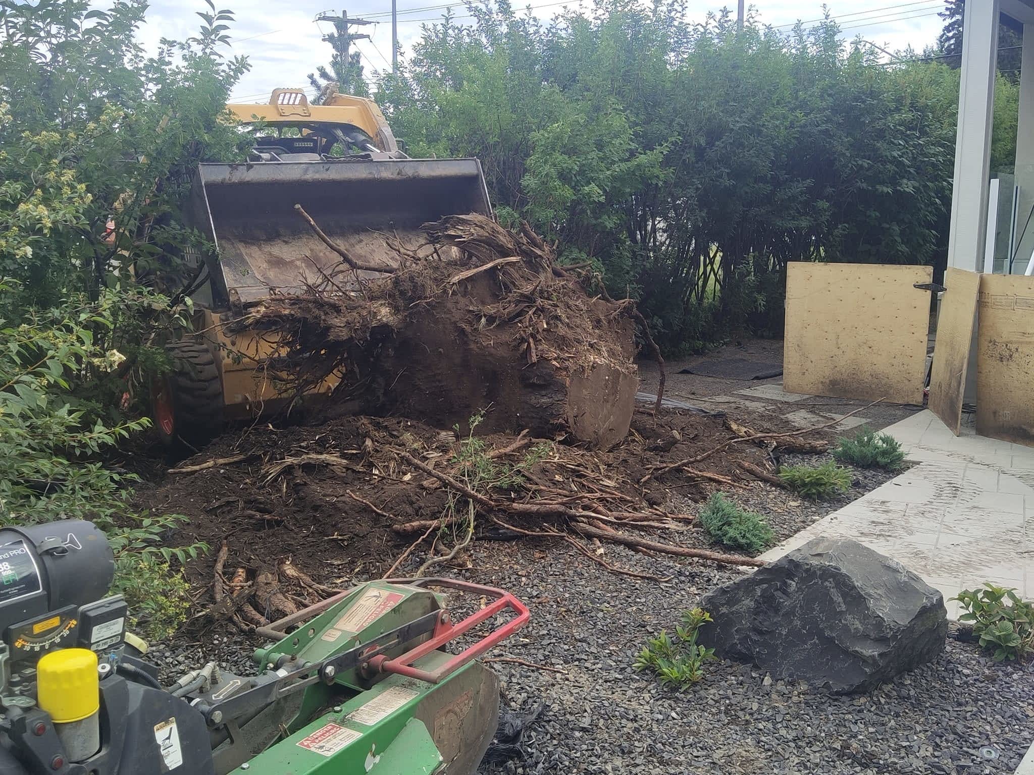 photo Stubborn Stump Grinding and Tree Care