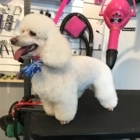 Grooming Tails Pet Salon - Toilettage et tonte d'animaux domestiques