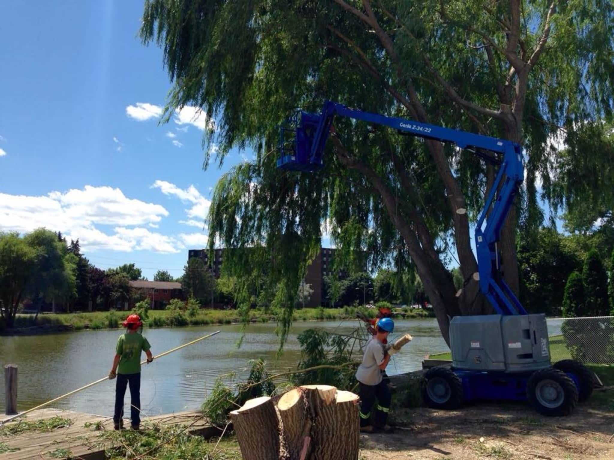 photo Sydenham Tree Service