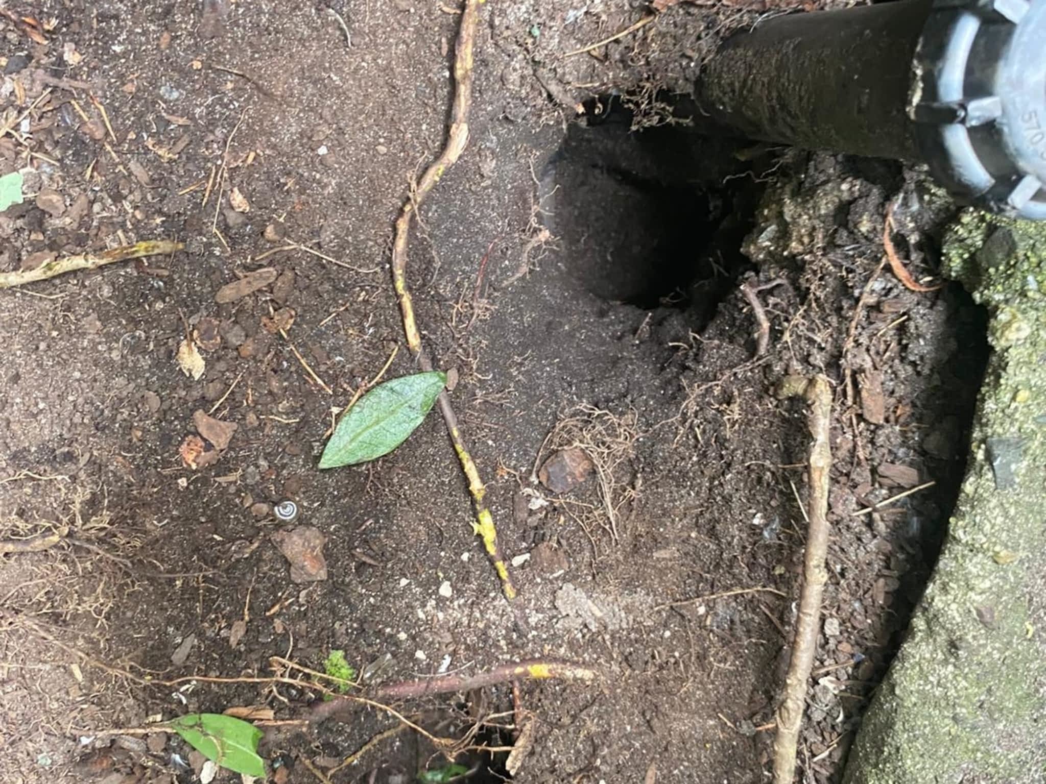 photo Phantom Pest Control Maple Ridge