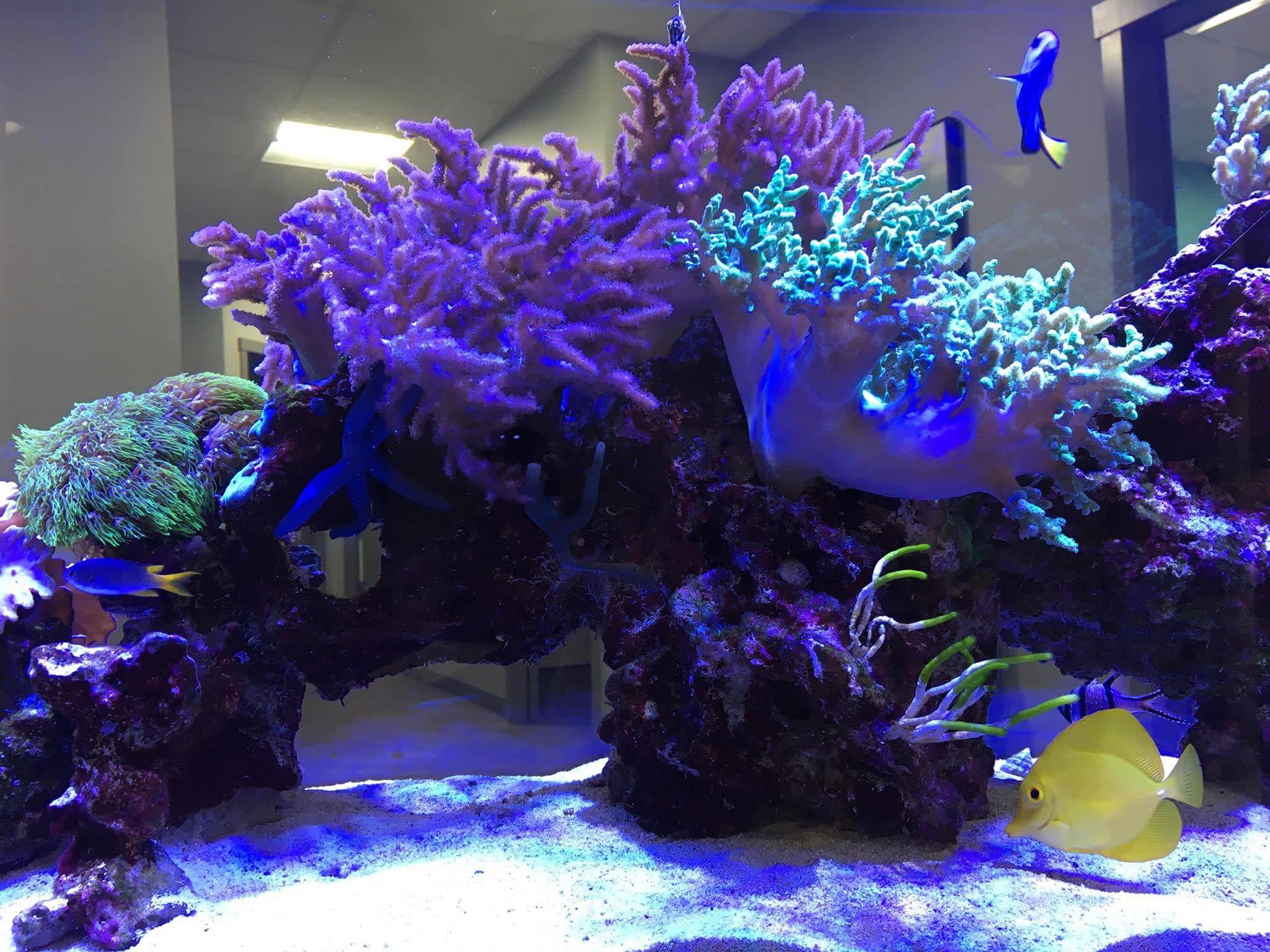 photo Vernon Optometry