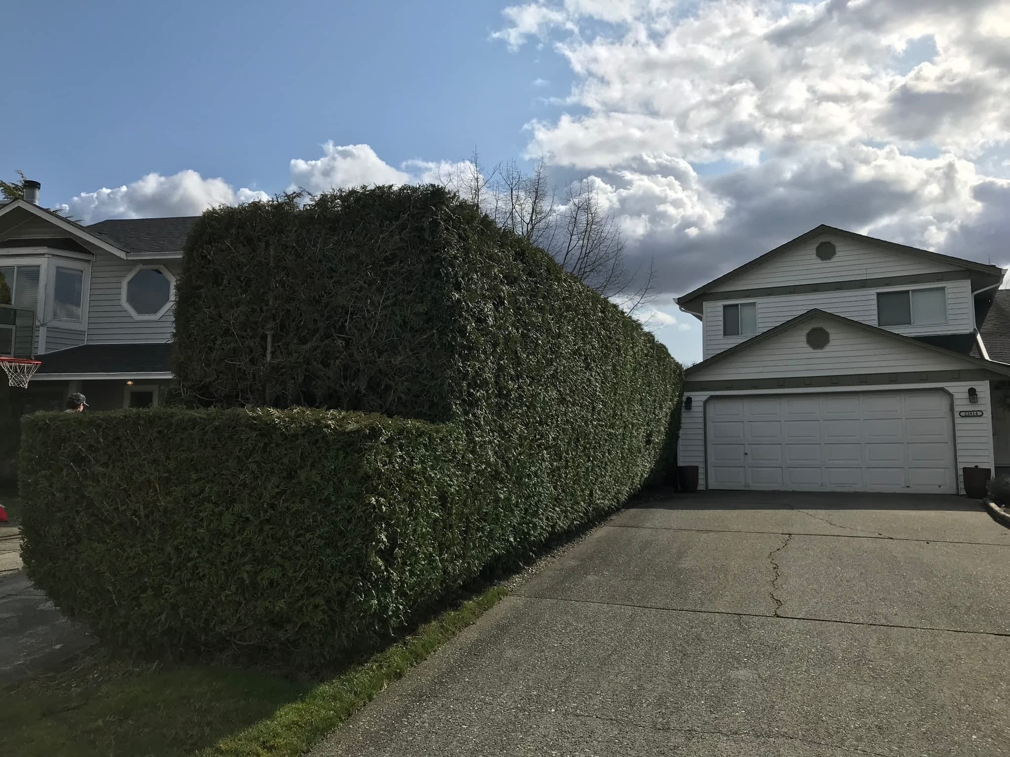 photo Arbor West Contracting