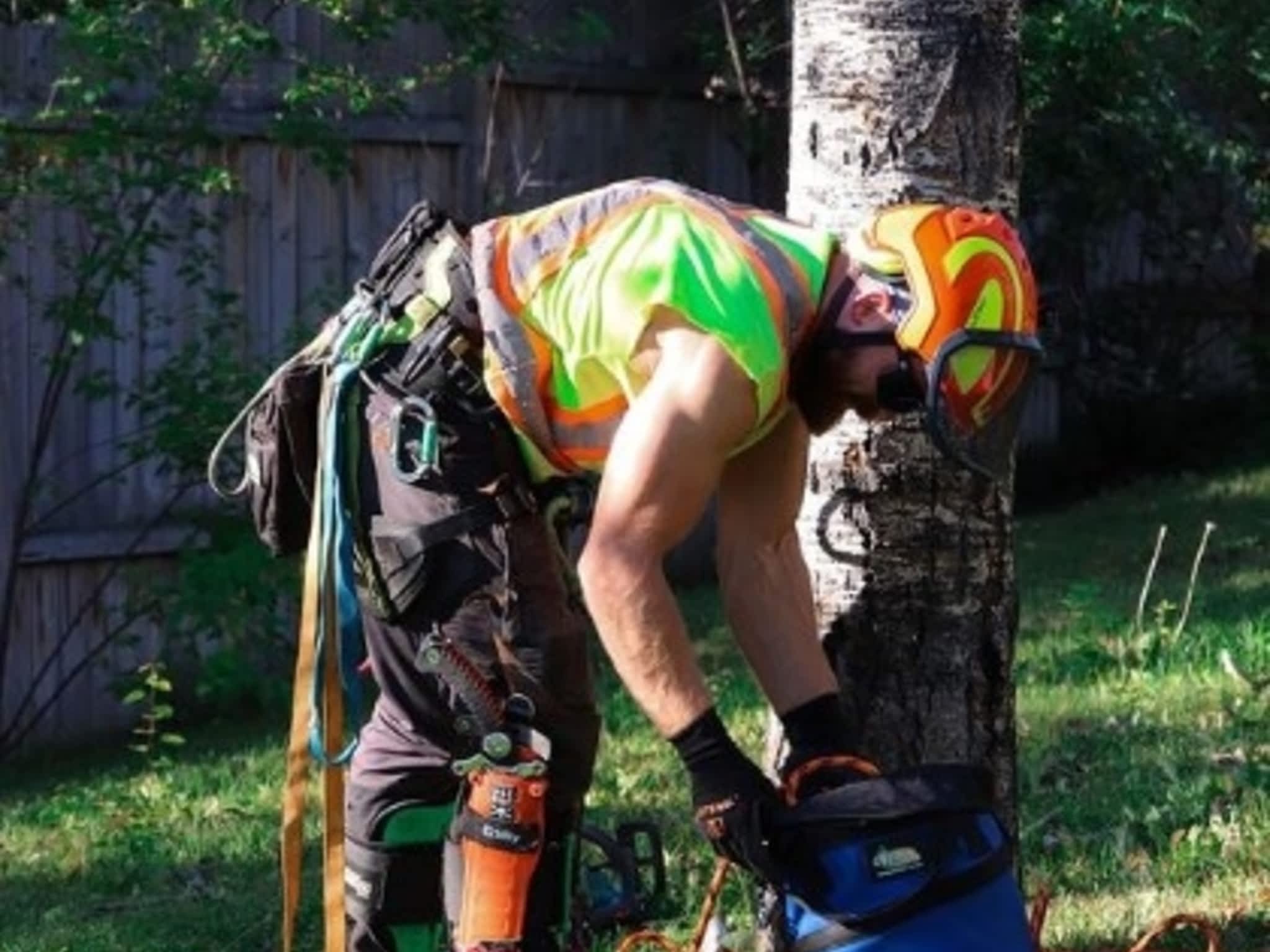 photo Canopy Keeper Tree Care