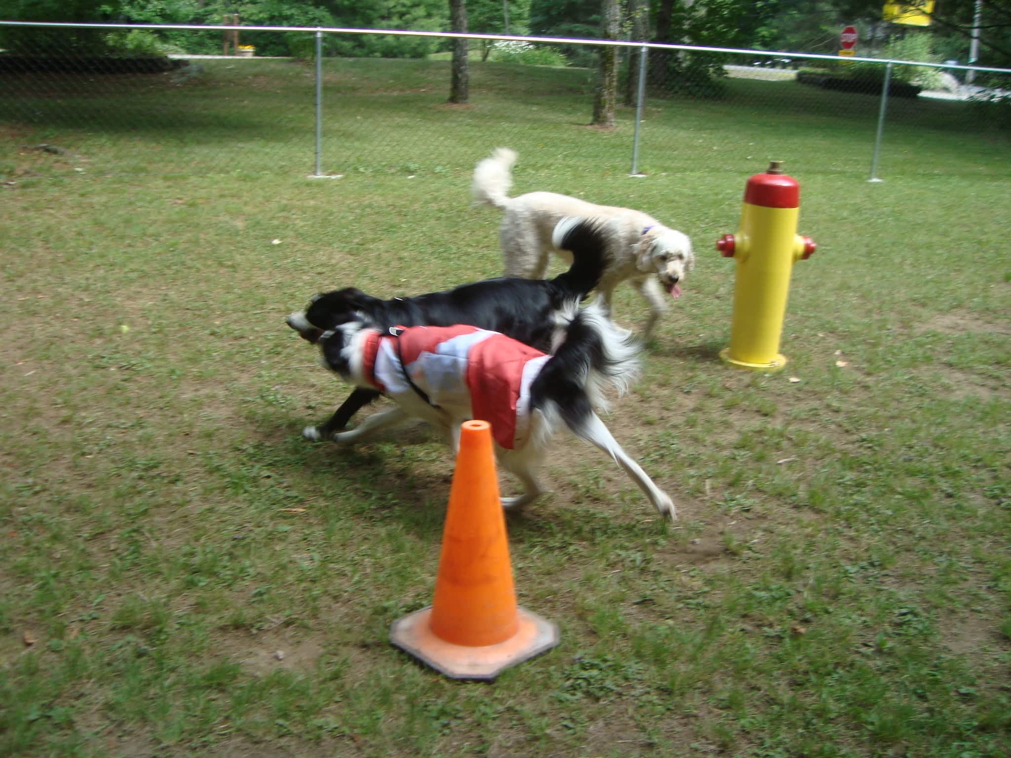 photo Parry Sound KOA Holiday