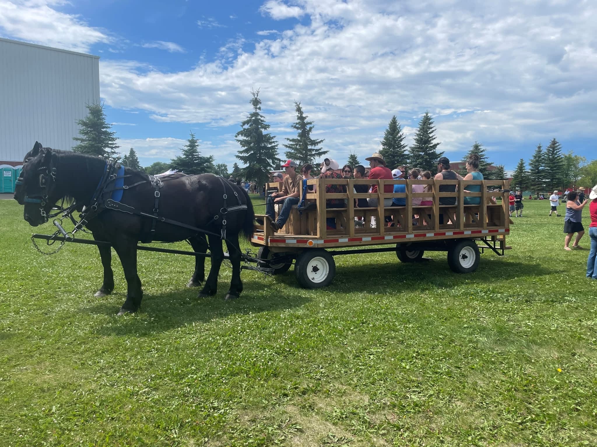photo Lonestar Ranch Wagons & Sleighs