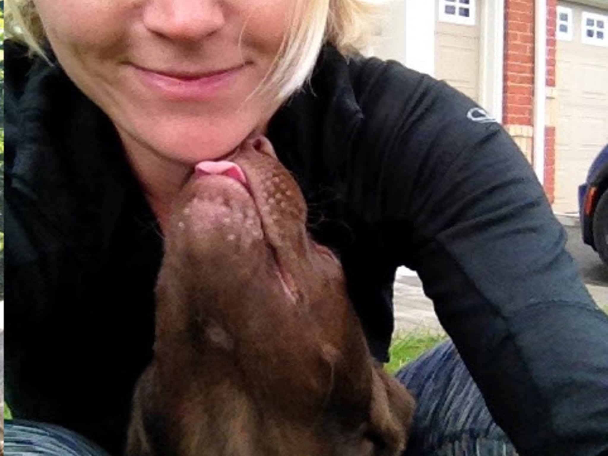 photo Mountain Bound Hounds