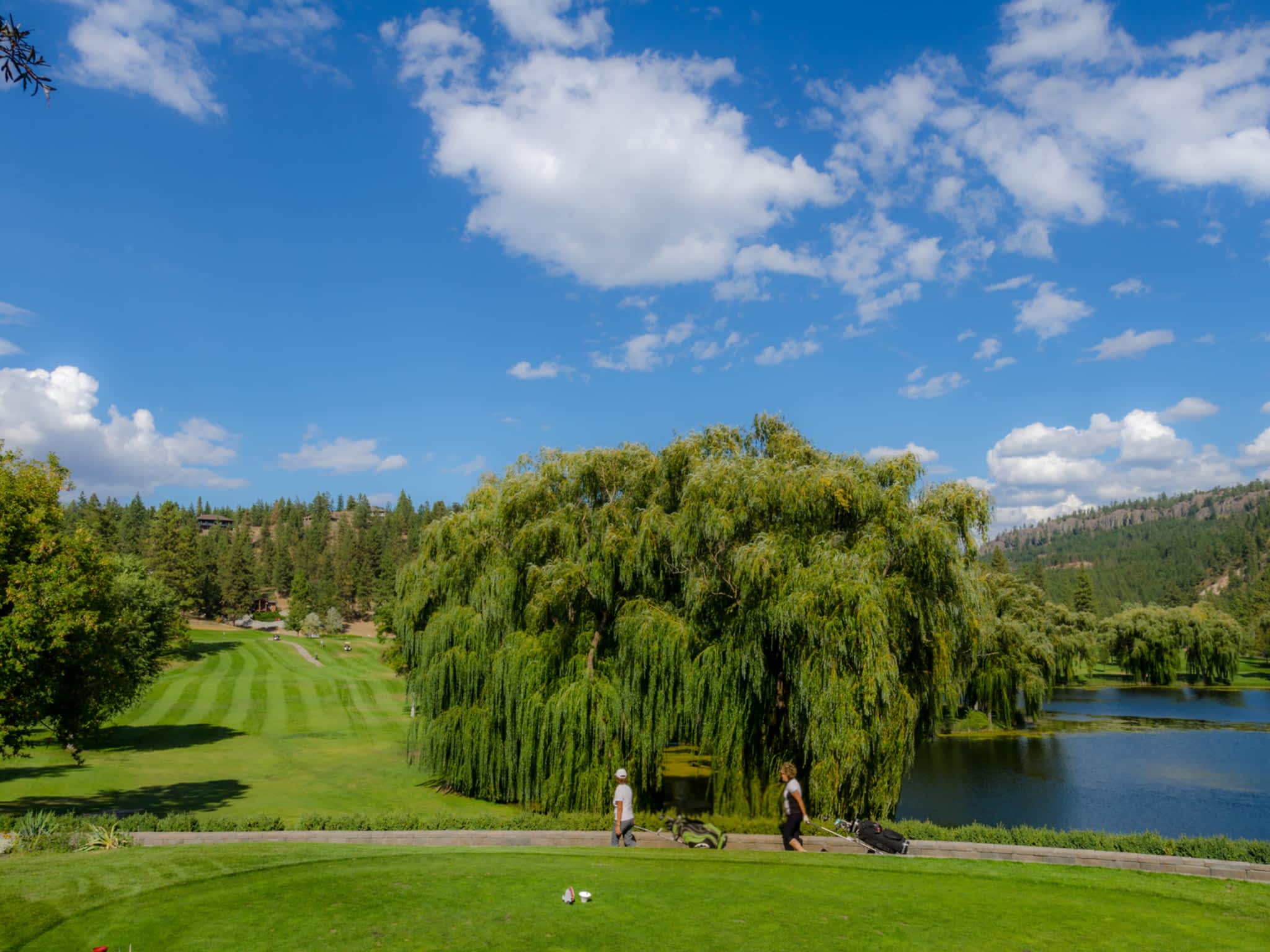 photo St Andrews By-The-Lake Golf Club