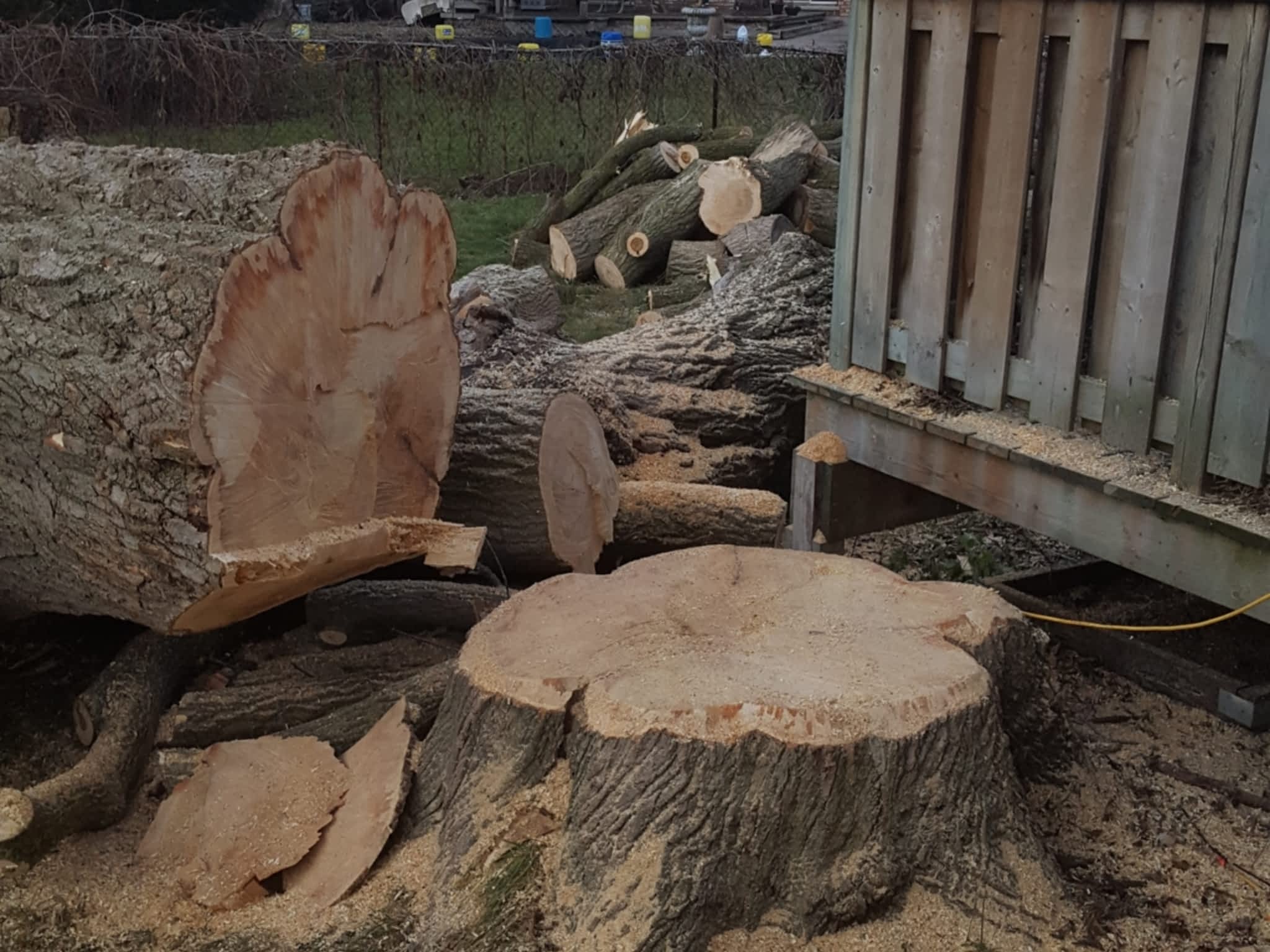 photo Logan Tree Experts