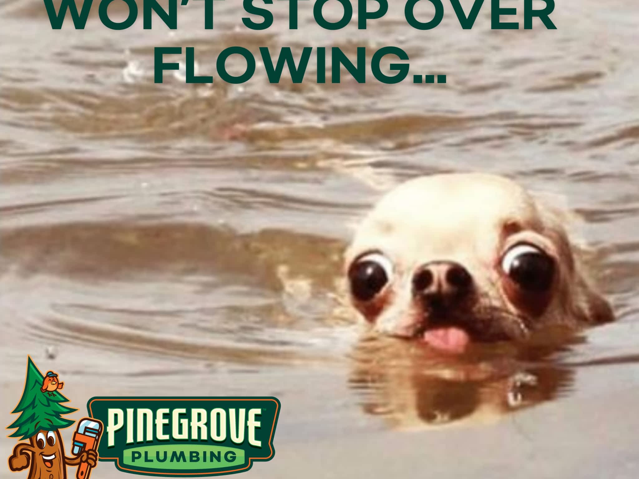 photo Pinegrove Plumbing