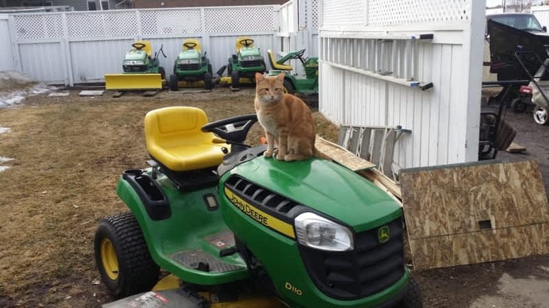 JD s Small Engine Repair Opening Hours 4722 49 St Camrose AB