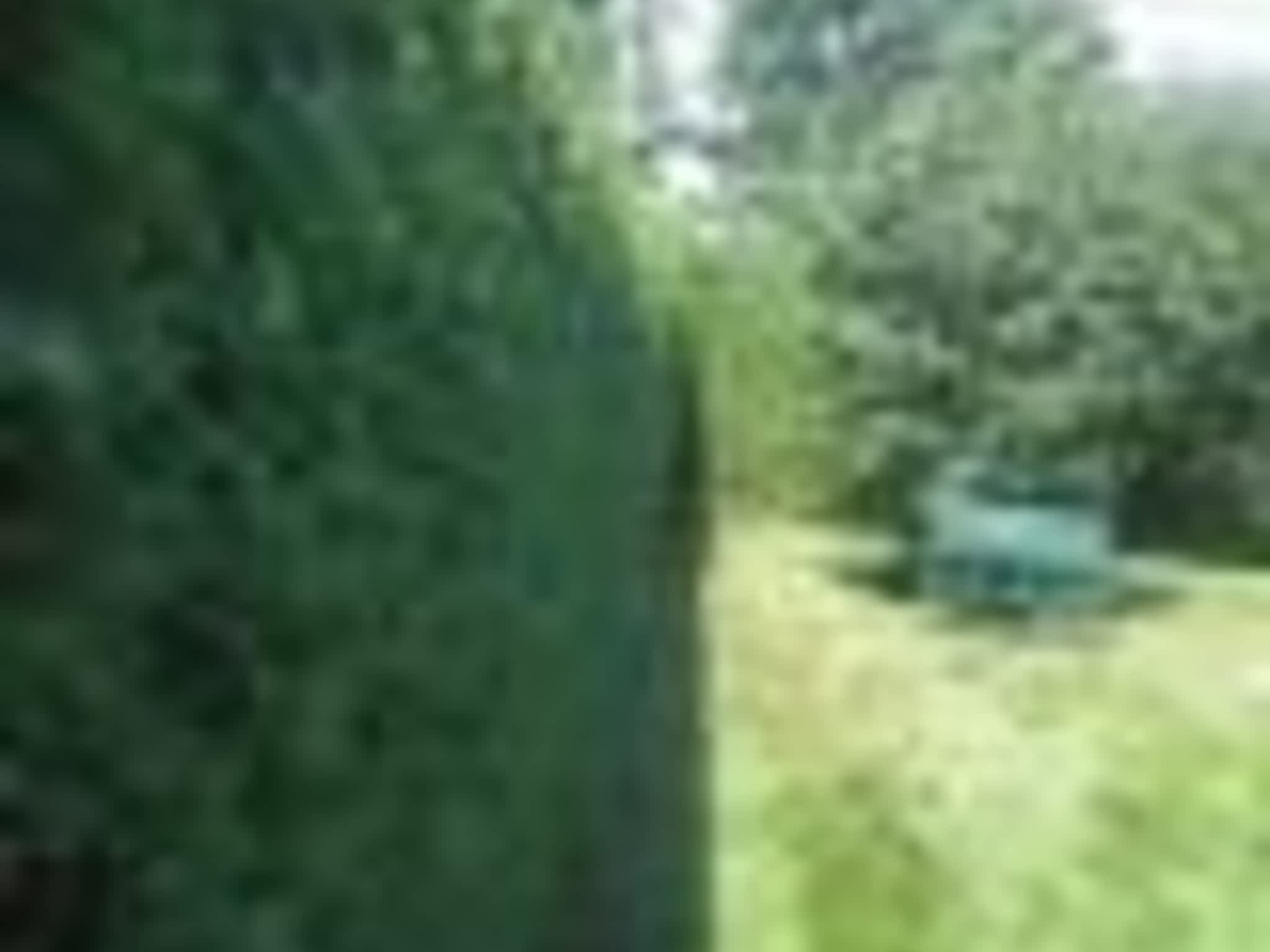 photo Taillage Compétitif CB