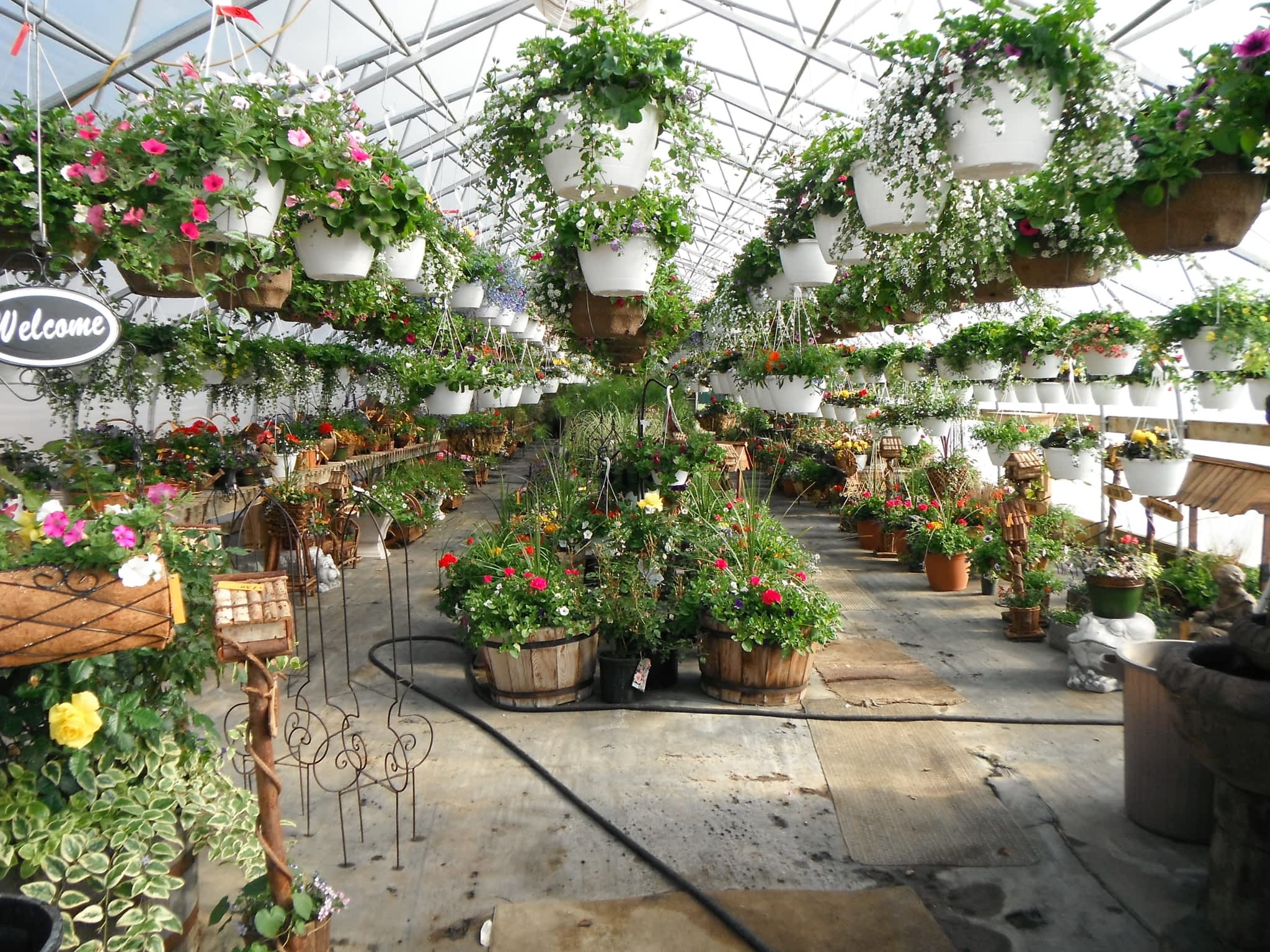 Moe's Gardens & Greenhouse - Bonnyville, AB - PO Box 6556 Stn Main ...