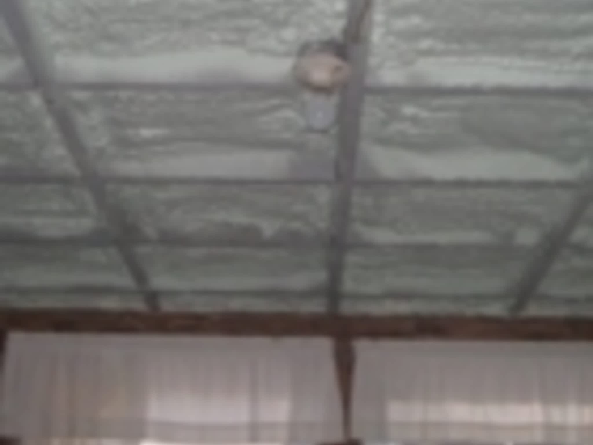 photo Vert Isolation