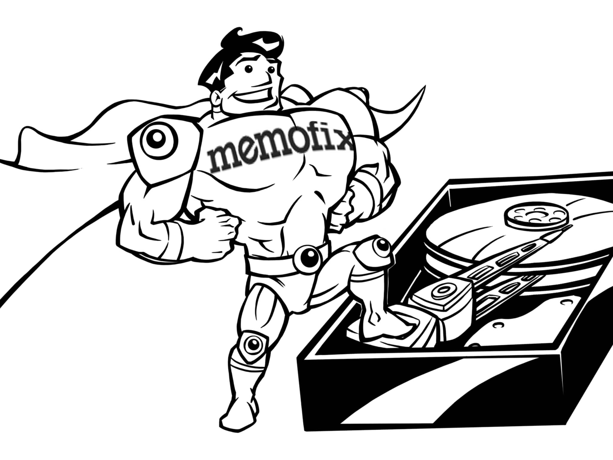 photo Memofix Data Recovery Services