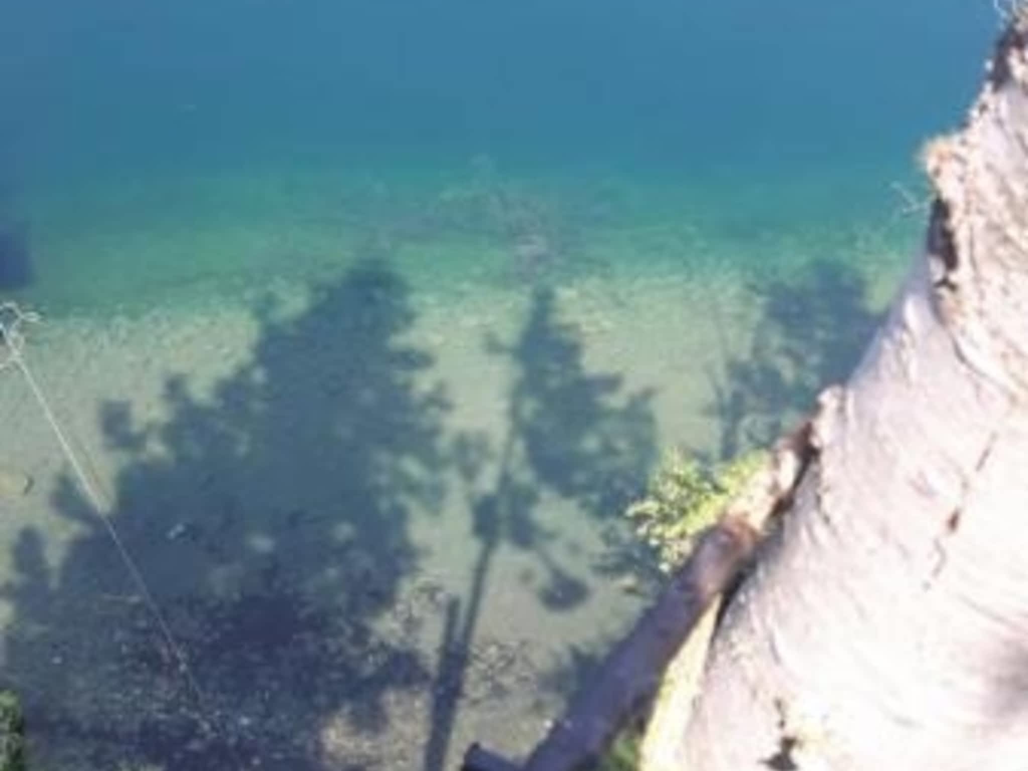 photo Windfirm Tree Services