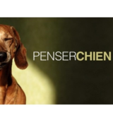 Penser Chien - Dressage et éducation d'animaux de compagnie