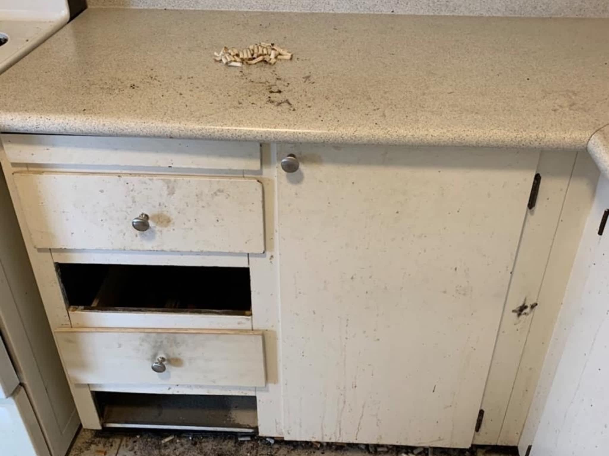 photo Lightning Cleaning