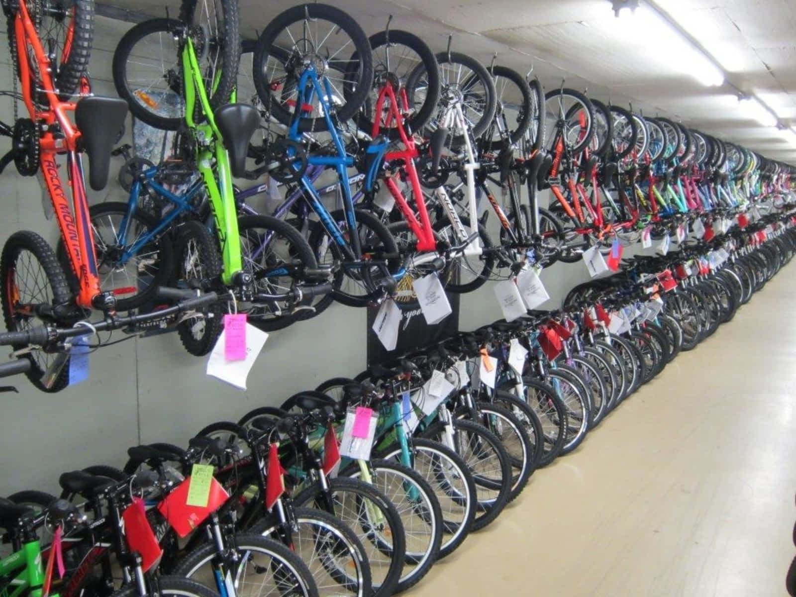 linden bike shop