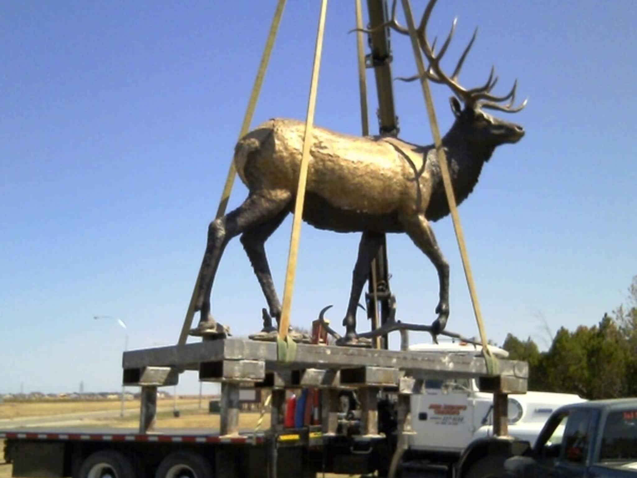photo Arm-Strong Craning