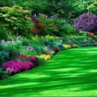 A.C.J Lawn and Snow - Lawn Maintenance