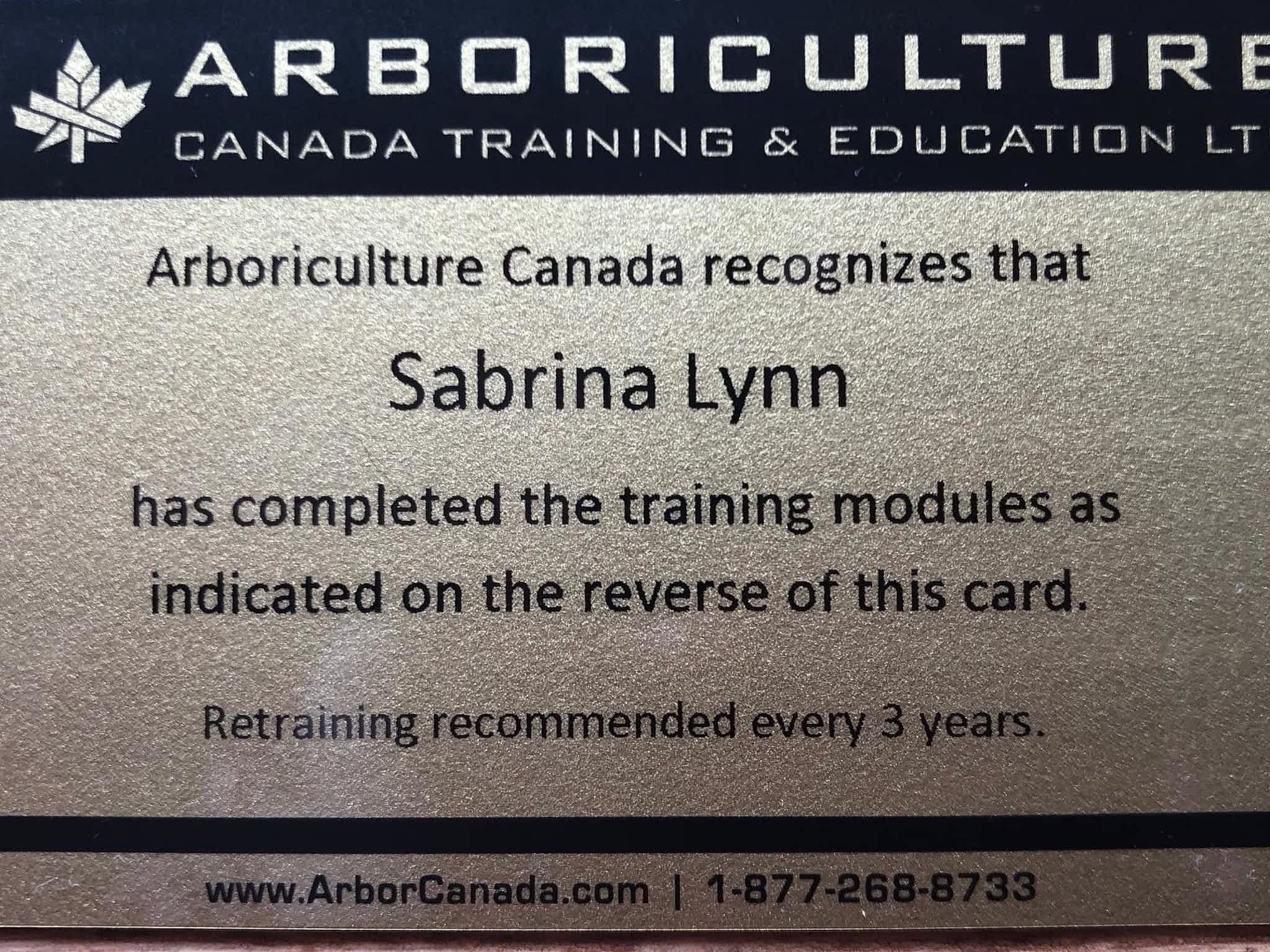 photo Elevated Tree Removal