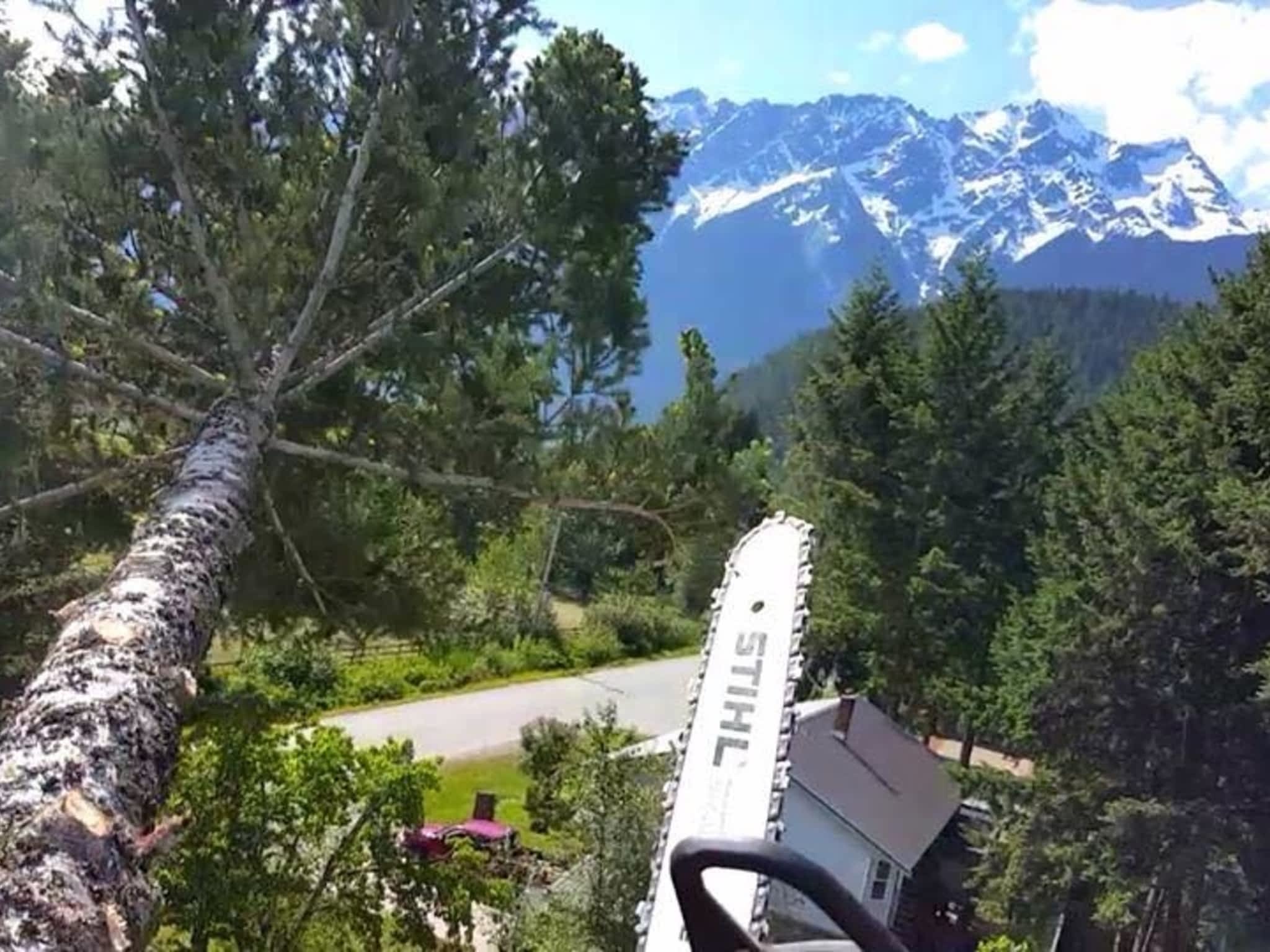 photo Windfirm Tree Services