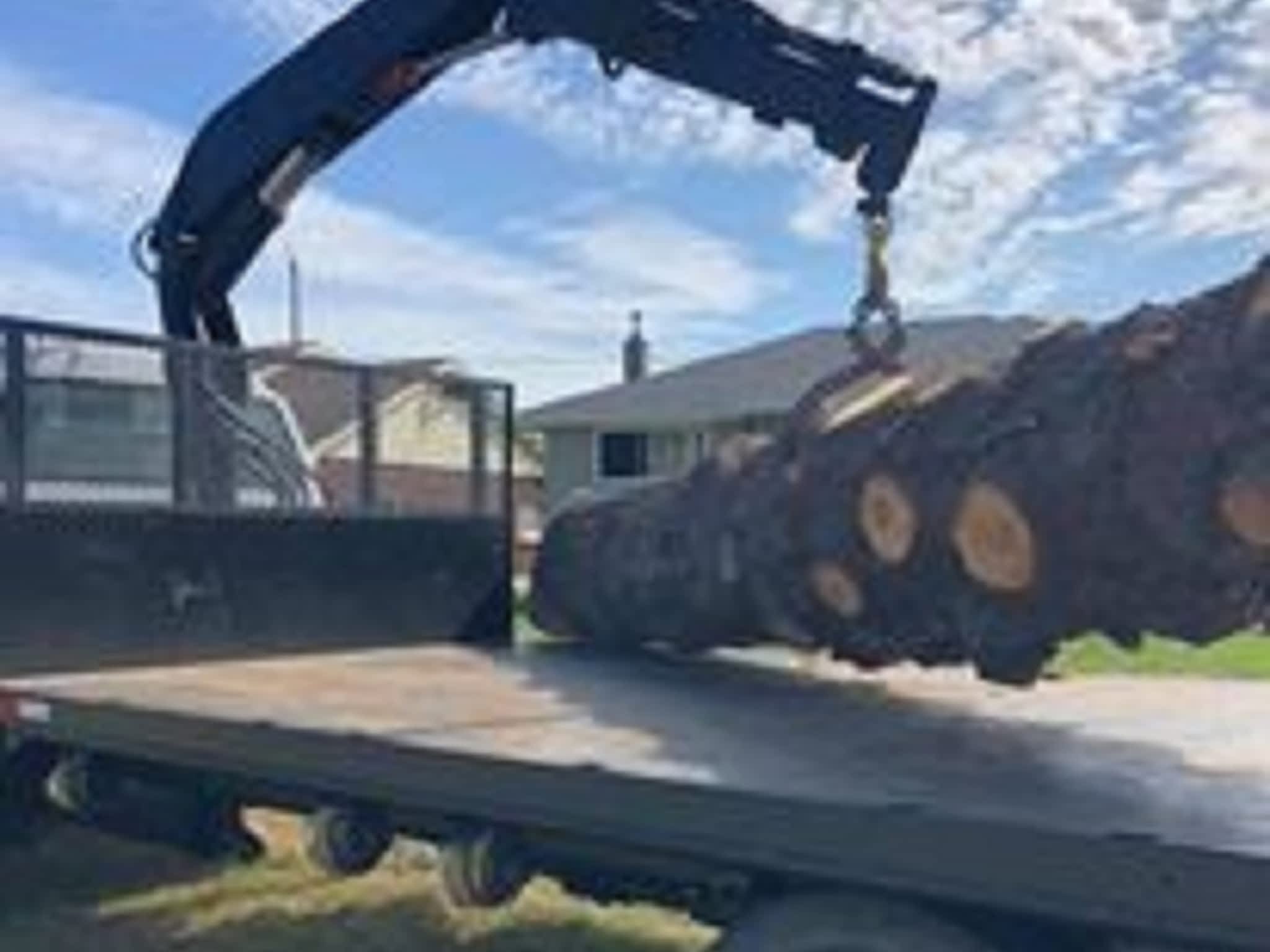 photo Macsemchuk Tree Services