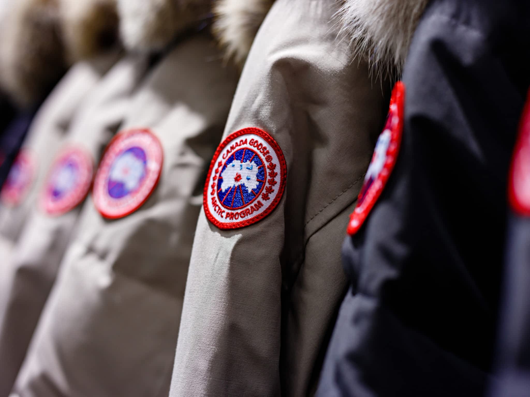 photo Canada Goose Toronto