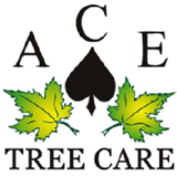 Voir le profil de A C E Tree Care - Enniskillen