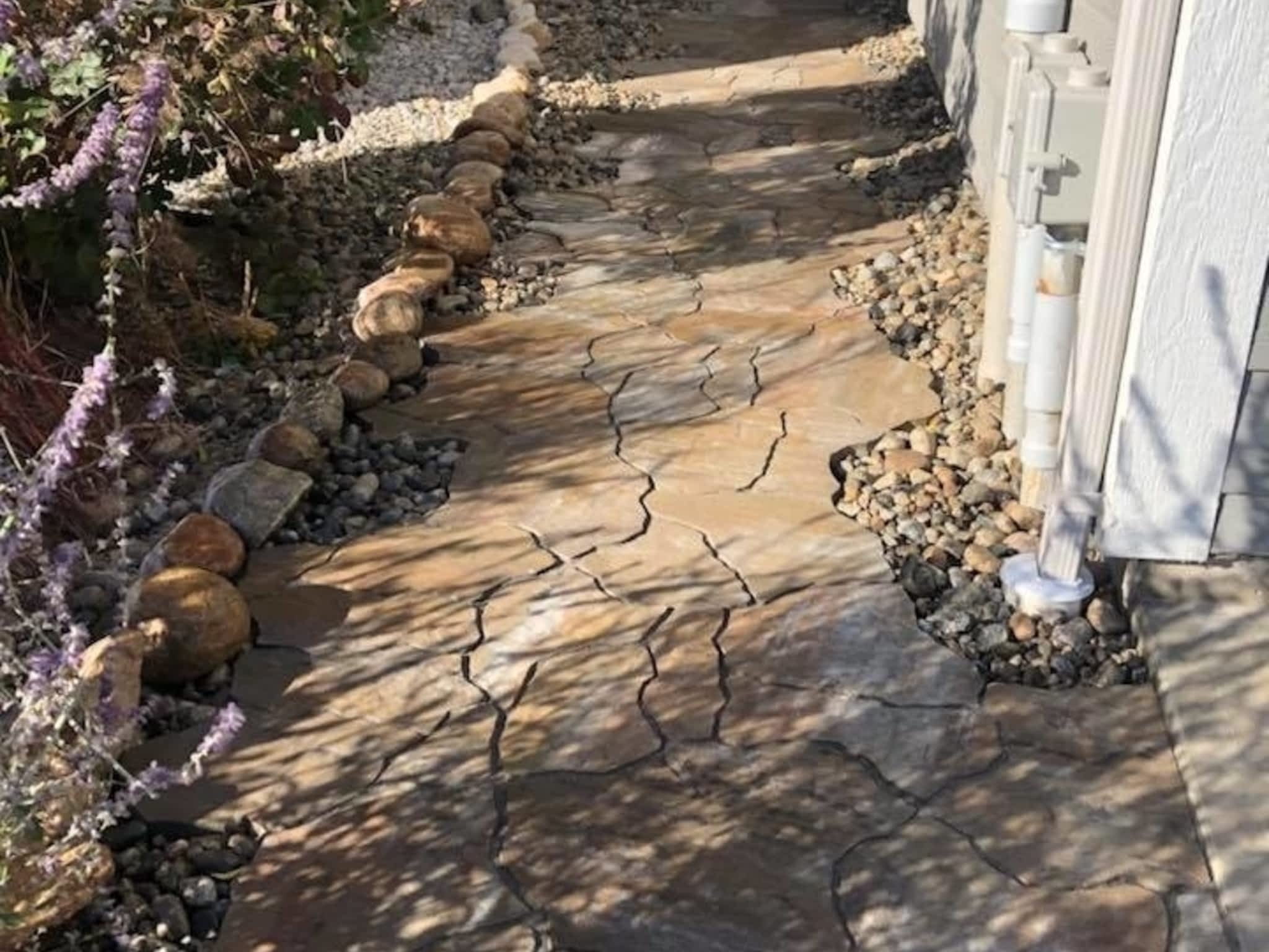 photo Evolutionary Wallscape