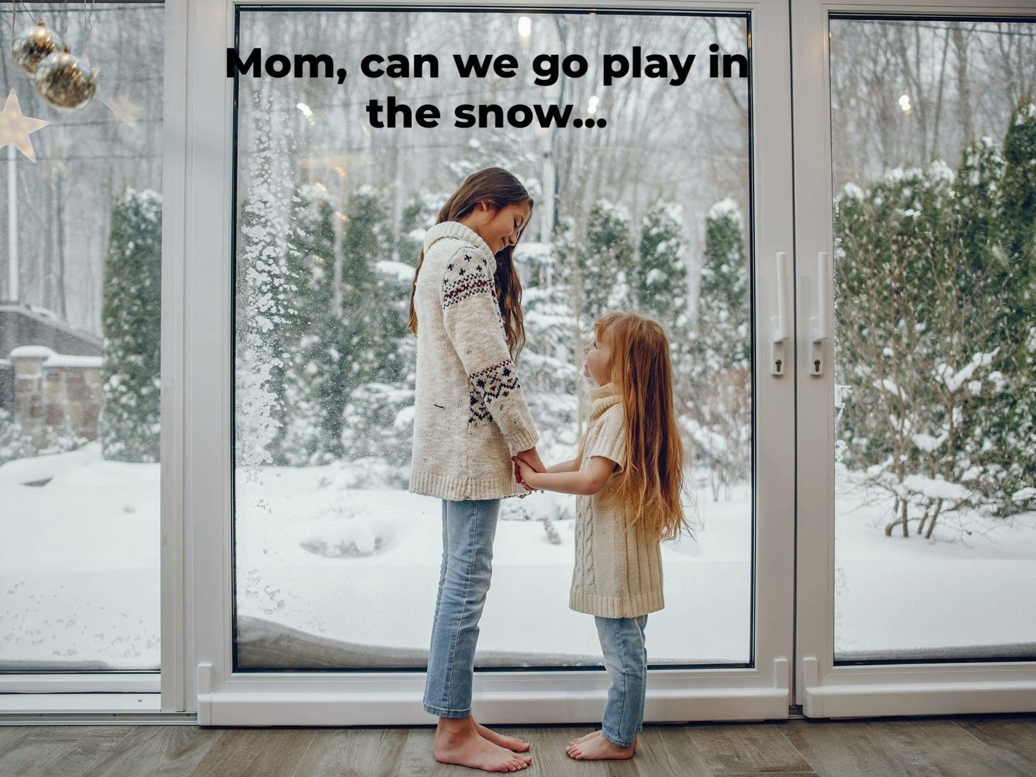 photo The Local Window Guy